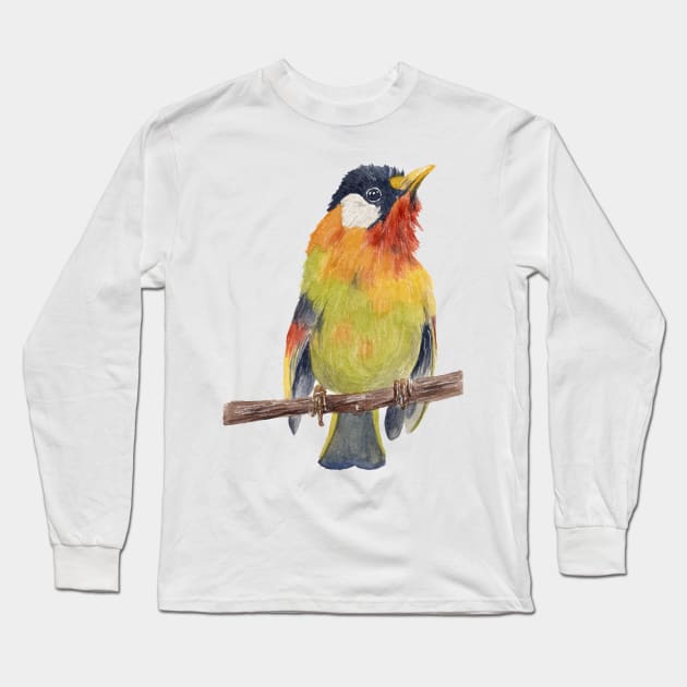 Colorful bird Long Sleeve T-Shirt by nadiaham